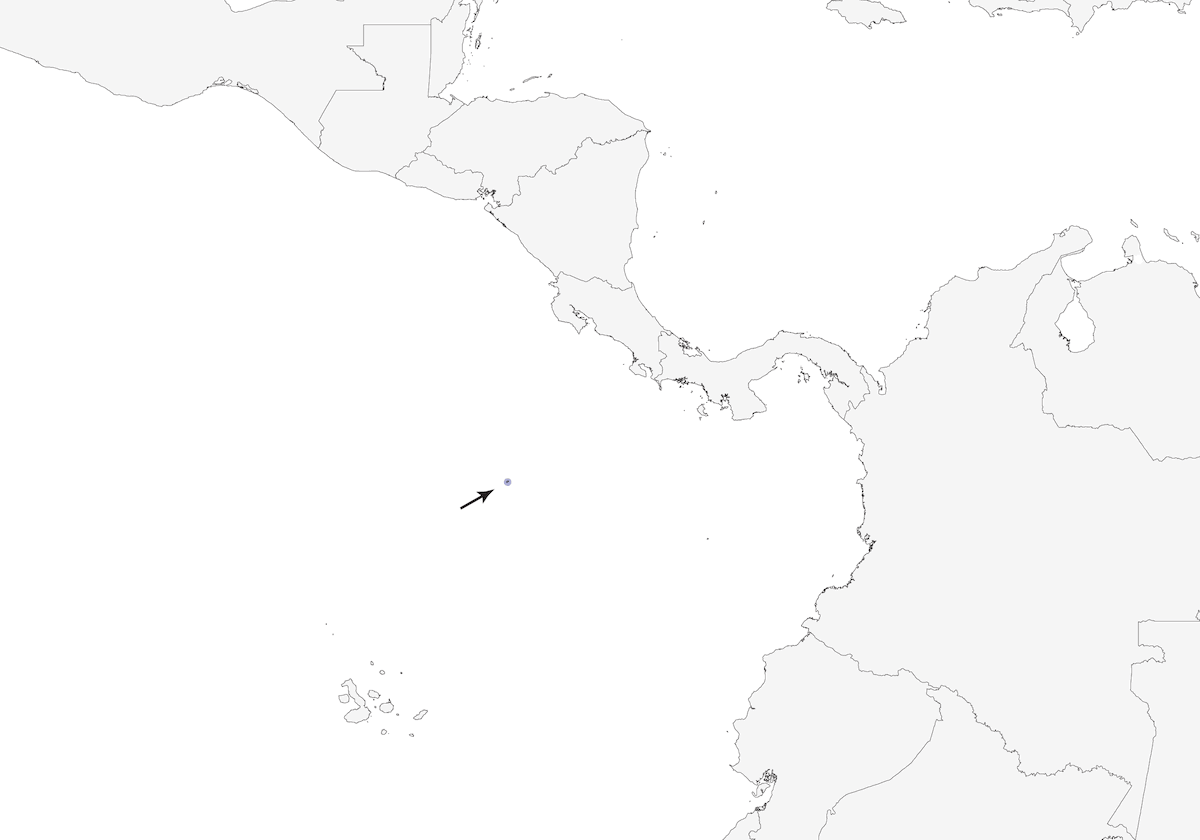 Tyranneau des Cocos, Distribution 1
