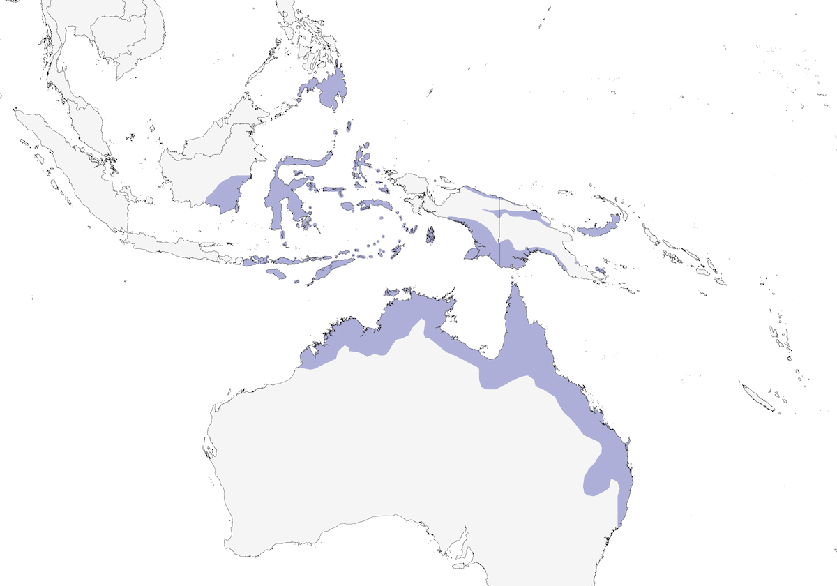 Jacana Cresticombada, Distribución 1
