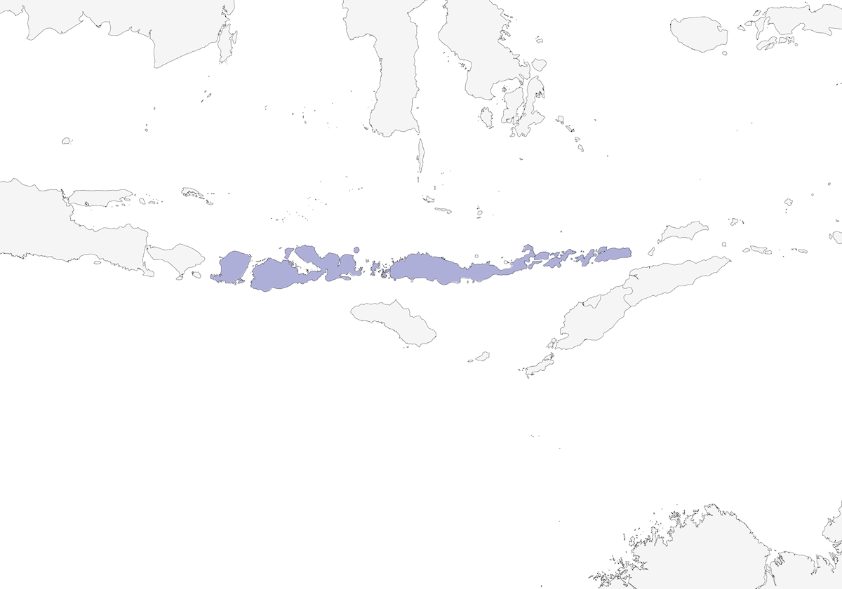 Tenggara Hill Myna, Distribution 1