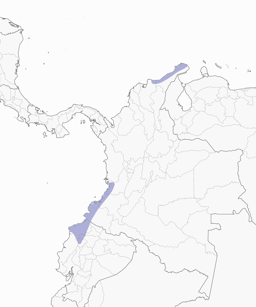 Colombian Crake, Distribution 1