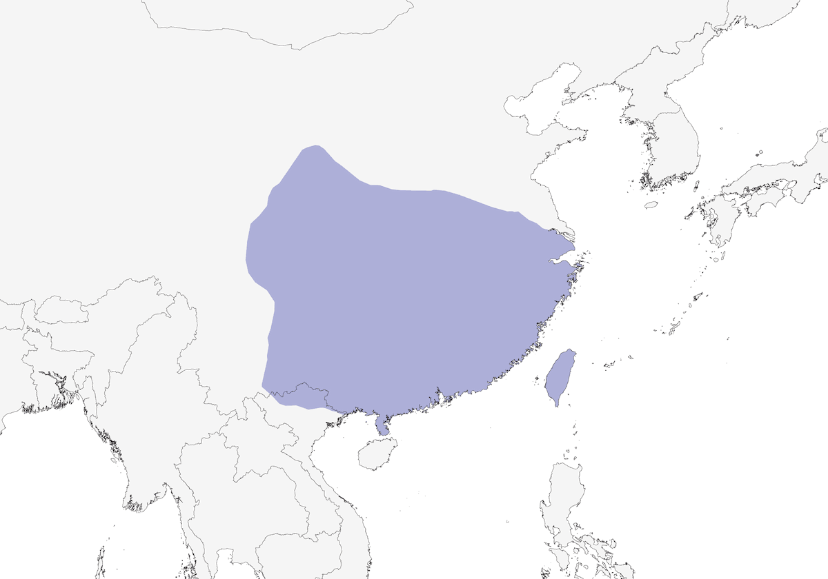 Collared Finchbill, Distribution 1