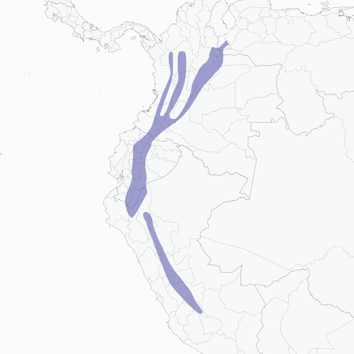 Inca à collier, Distribution 1