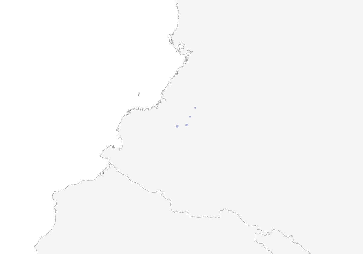 Prachtschneehöschen, Verbreitung 1