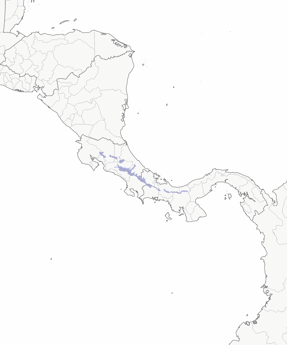 Collared Redstart, Distribution 1