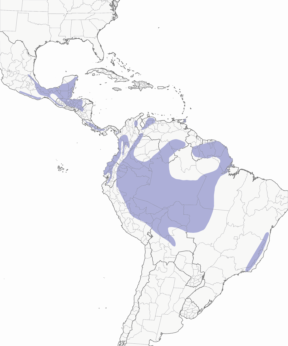 Collared Trogon, Distribution 1