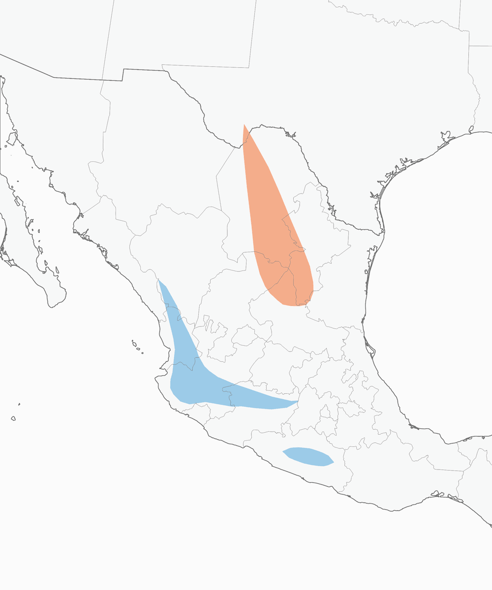 Colima-Waldsänger, Verbreitung 1