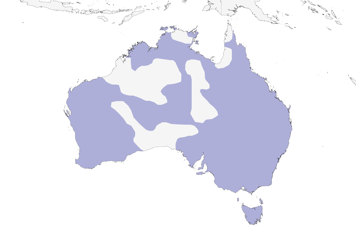 Common Bronzewing, Distribution 1