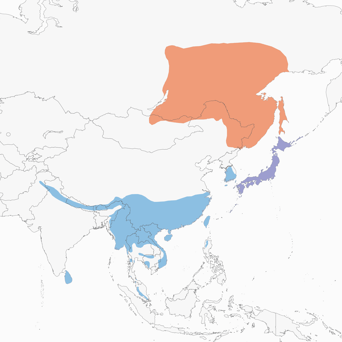 Buse du Japon, Distribution 1