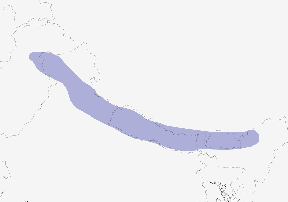 Himalayan Buzzard, Distribution 1