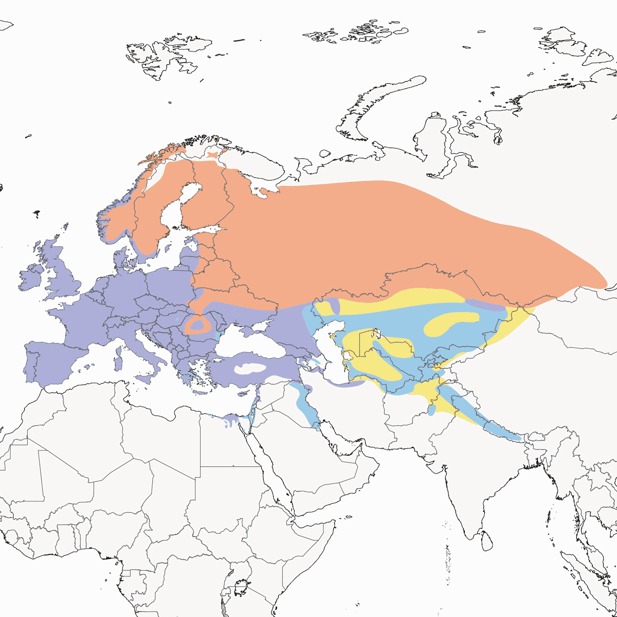 Common Chaffinch, Distribution 1