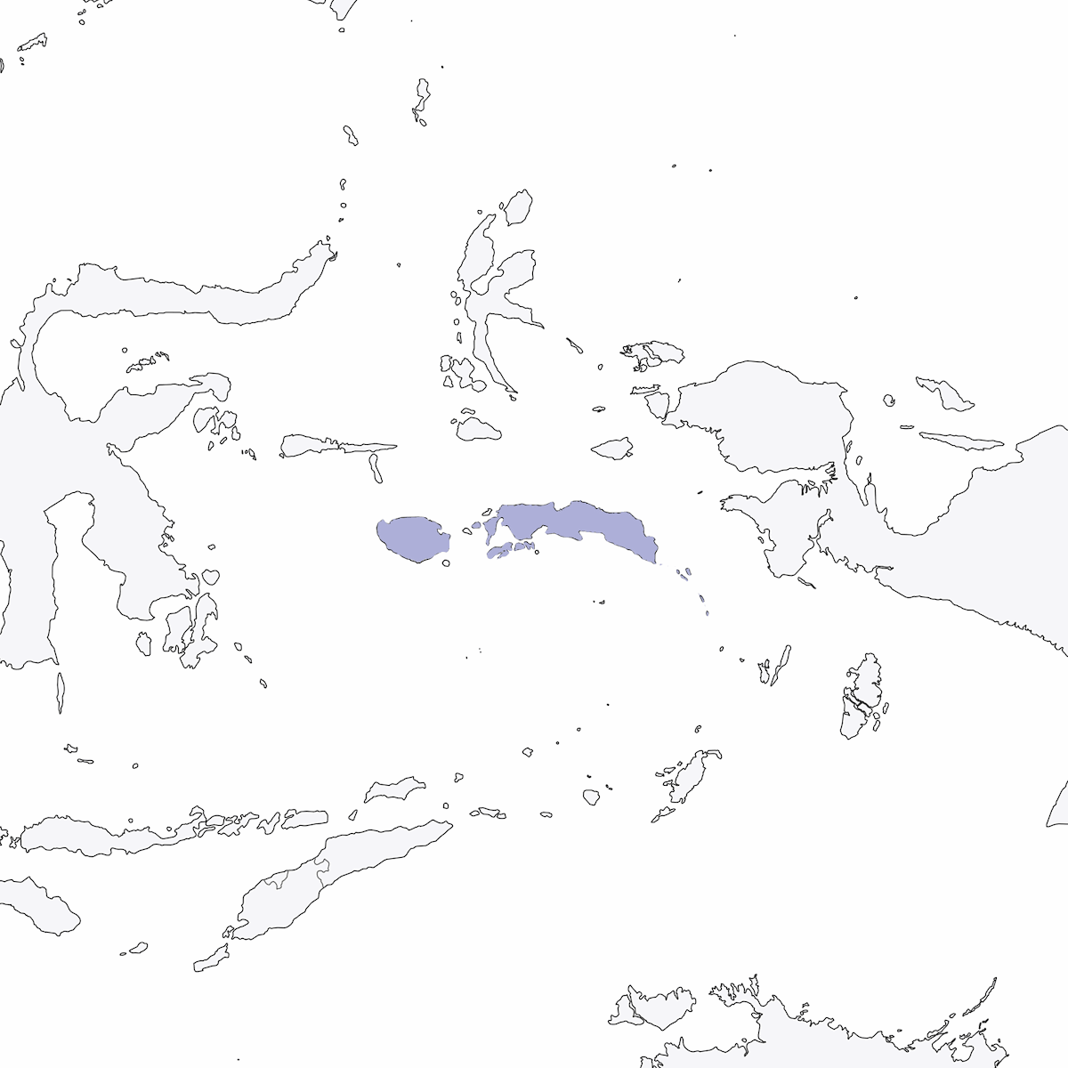 South Moluccan Cicadabird, 分布 1
