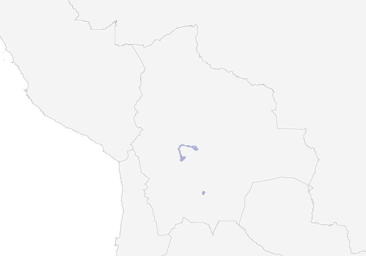 Cochabamba Mountain Finch, Distribution 1