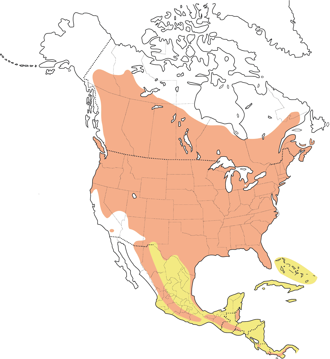 Common Nighthawk, Distribution 1