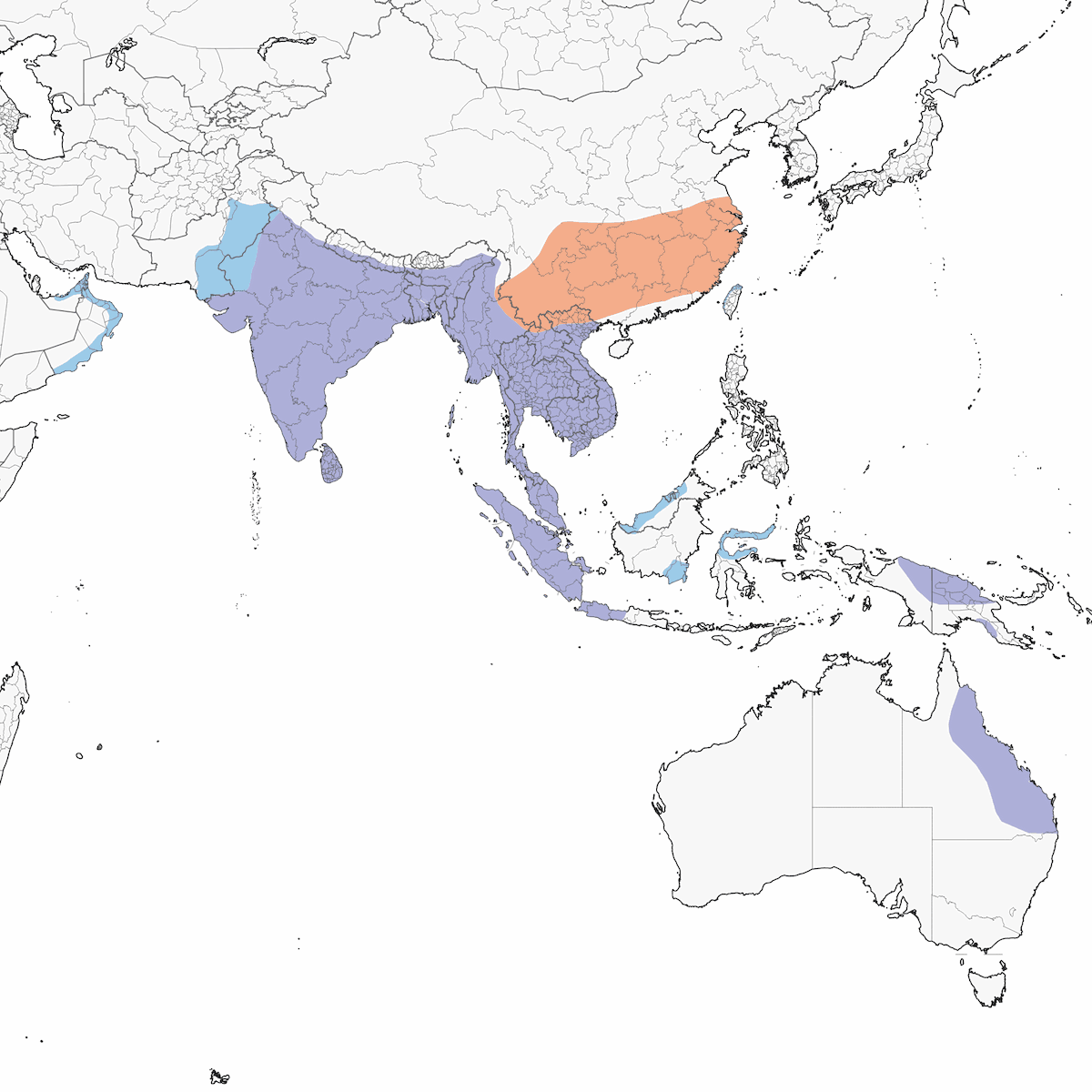 Cerceta Algodonera, Distribución 1