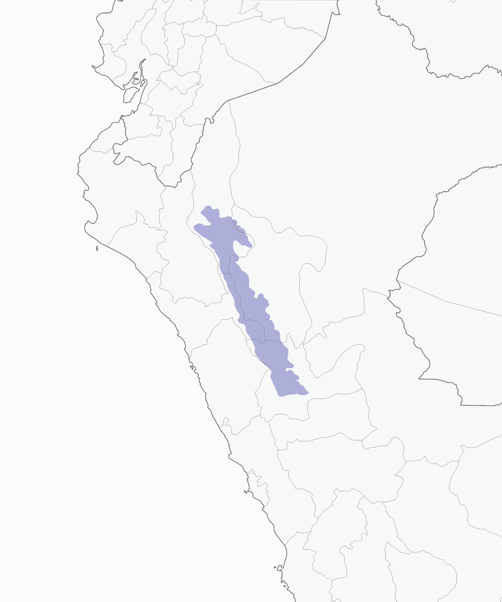 Coppery Metaltail, Distribution 1