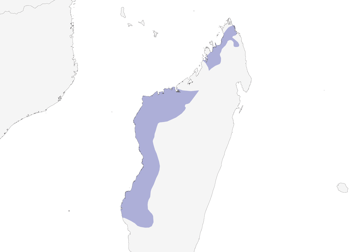 Coua di Coquerel, Distribuzione 1