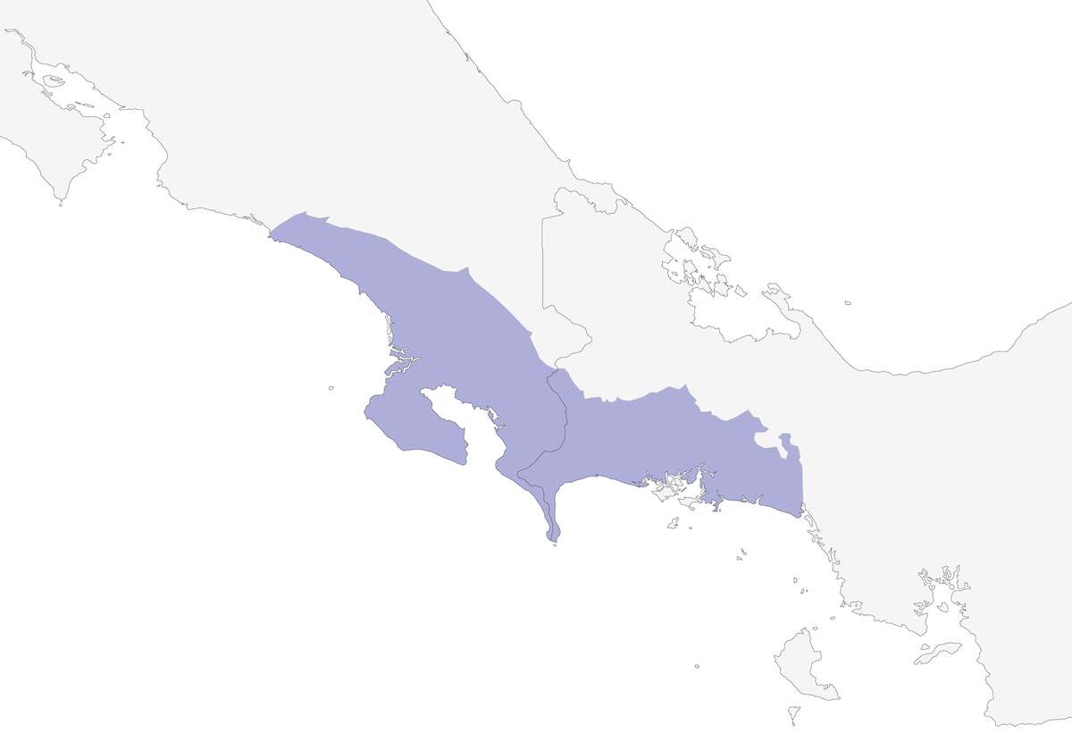 Costa Rican Swift, Distribution 1