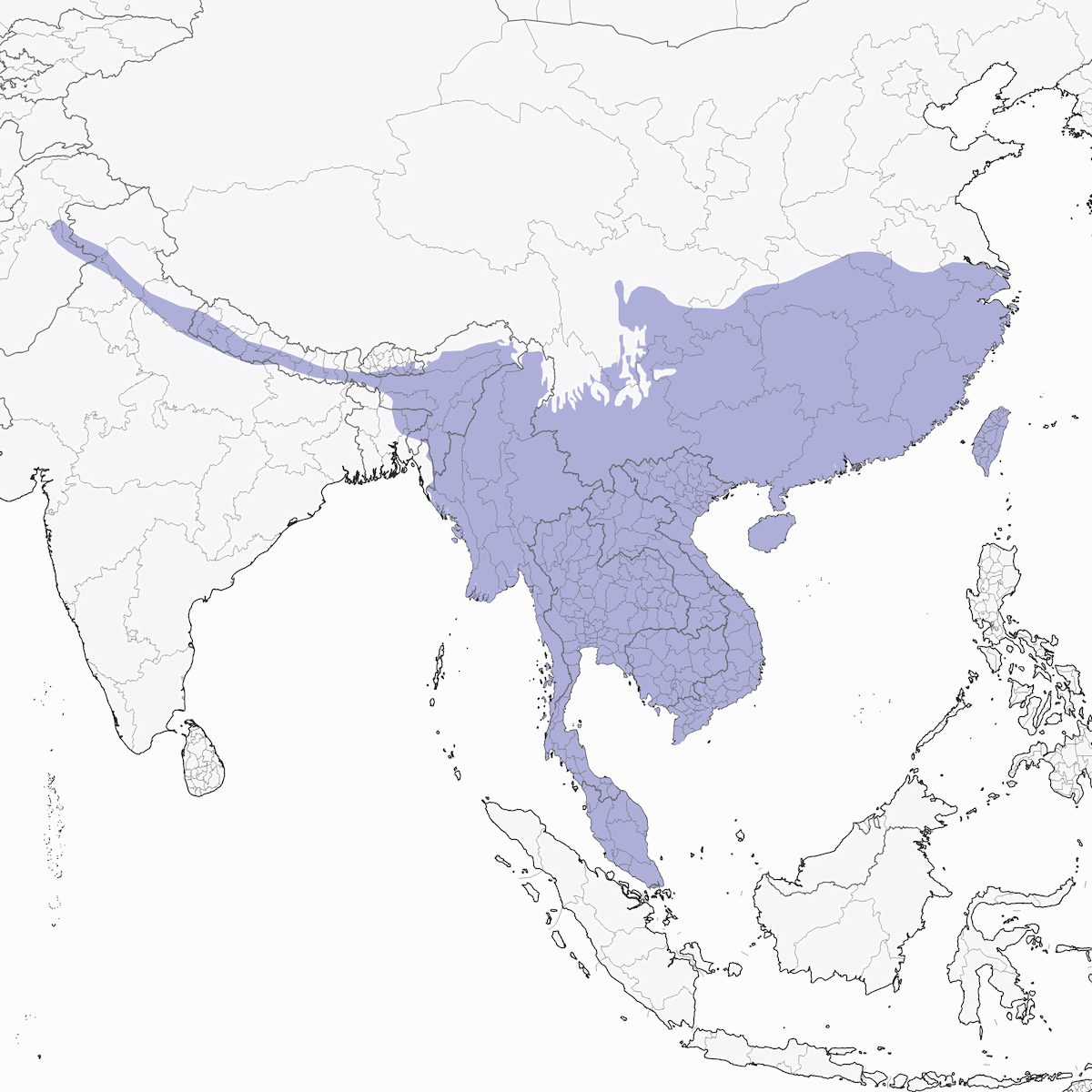 Collared Scops-Owl, Distribution 1