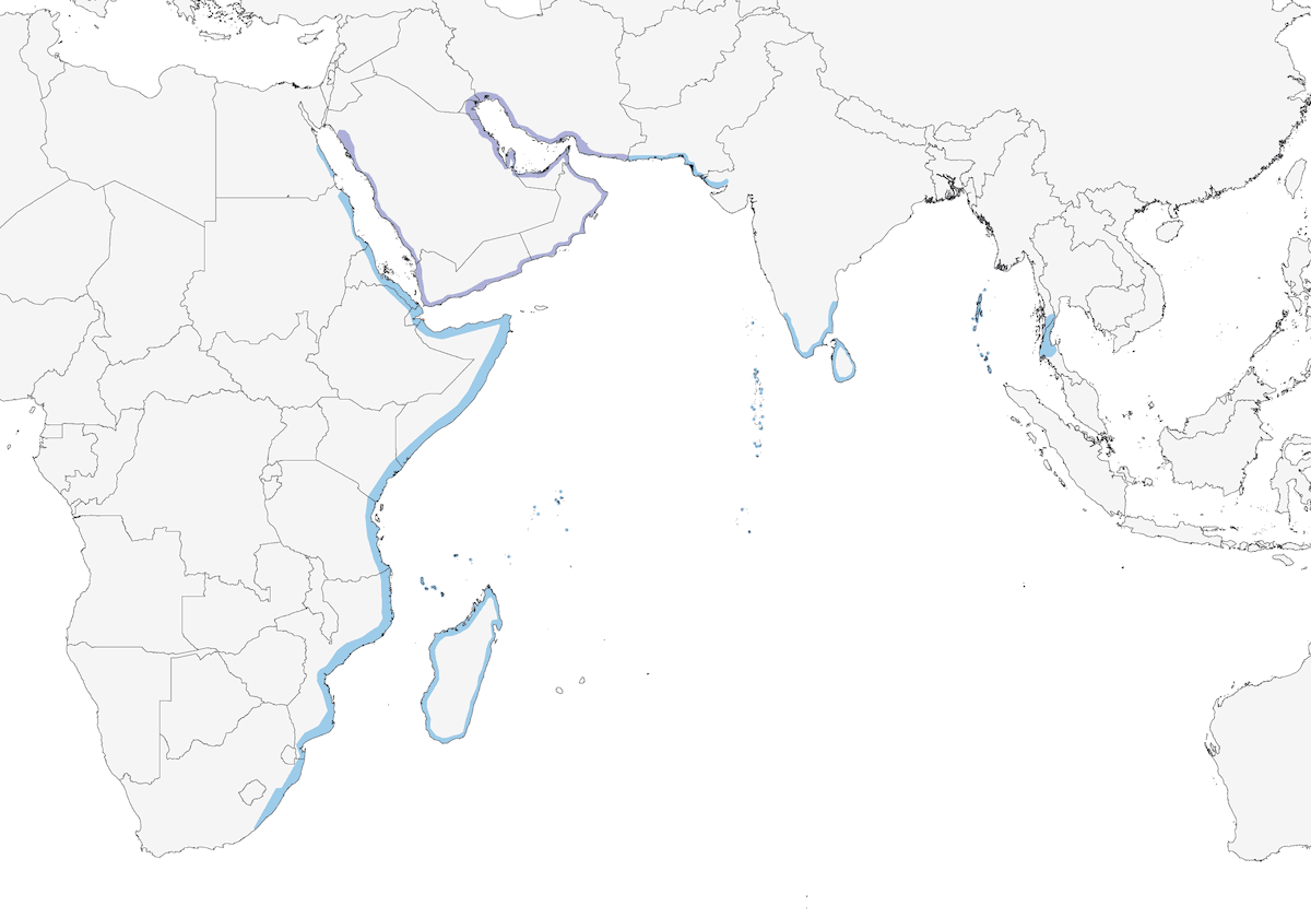 Dromas ardéole, Distribution 1