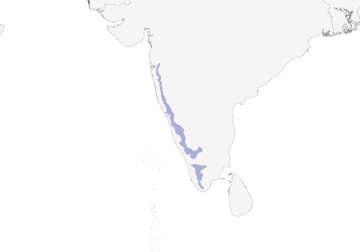 Crimson-backed Sunbird, Distribution 1