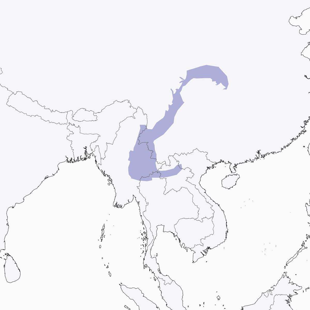 Pico acollarado, Distribución 1