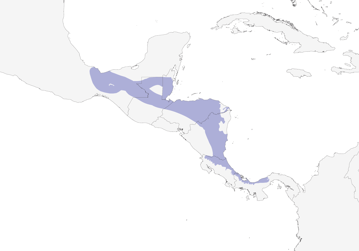 Crimson-collared Tanager, Distribution 1