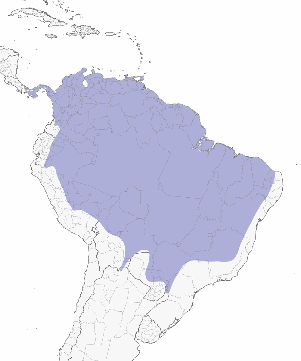 Crimson-crested Woodpecker, Distribution 1