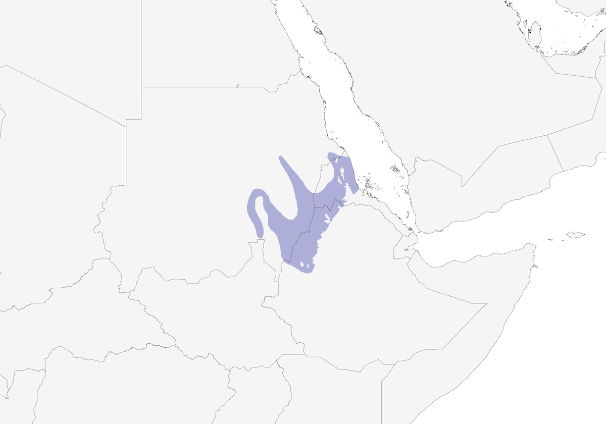 Cretzschmar's Babbler, Distribution 1