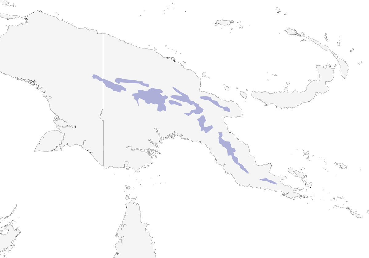 Paramythia huppé, Distribution 1