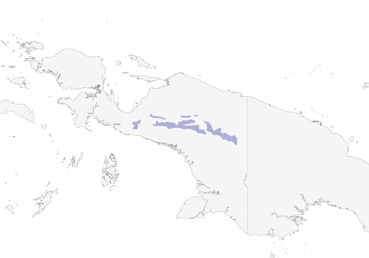 Beccabacche crestato occidentale, Distribuzione 1