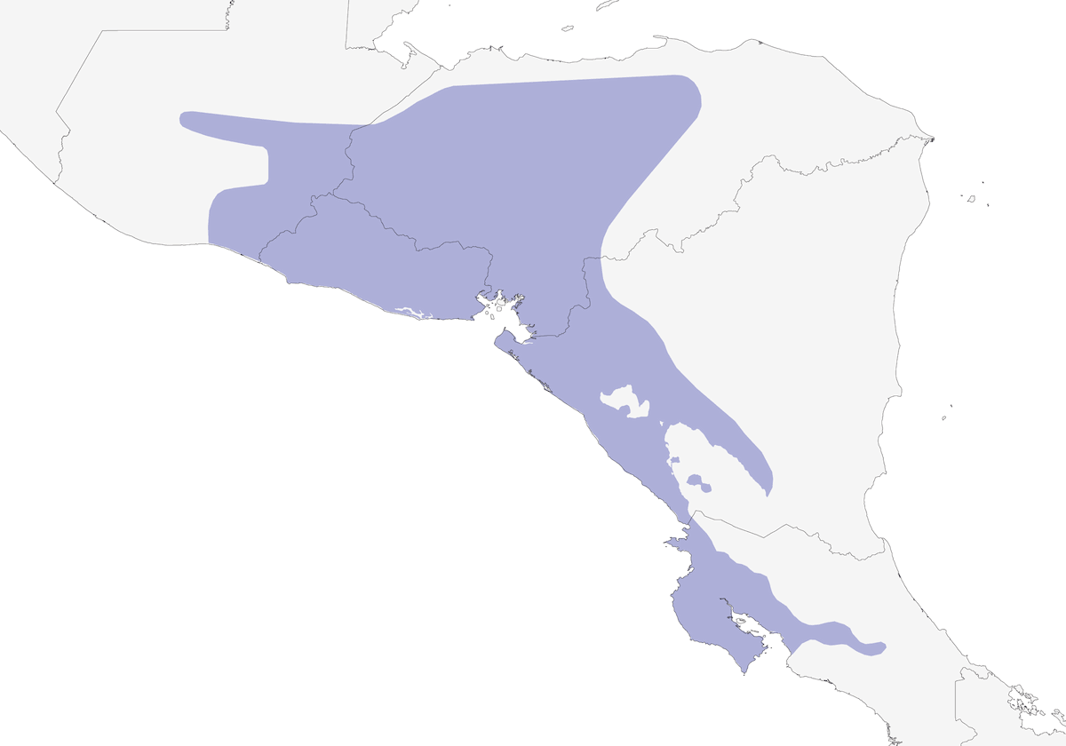 Colín pechipunteado, Distribución 1