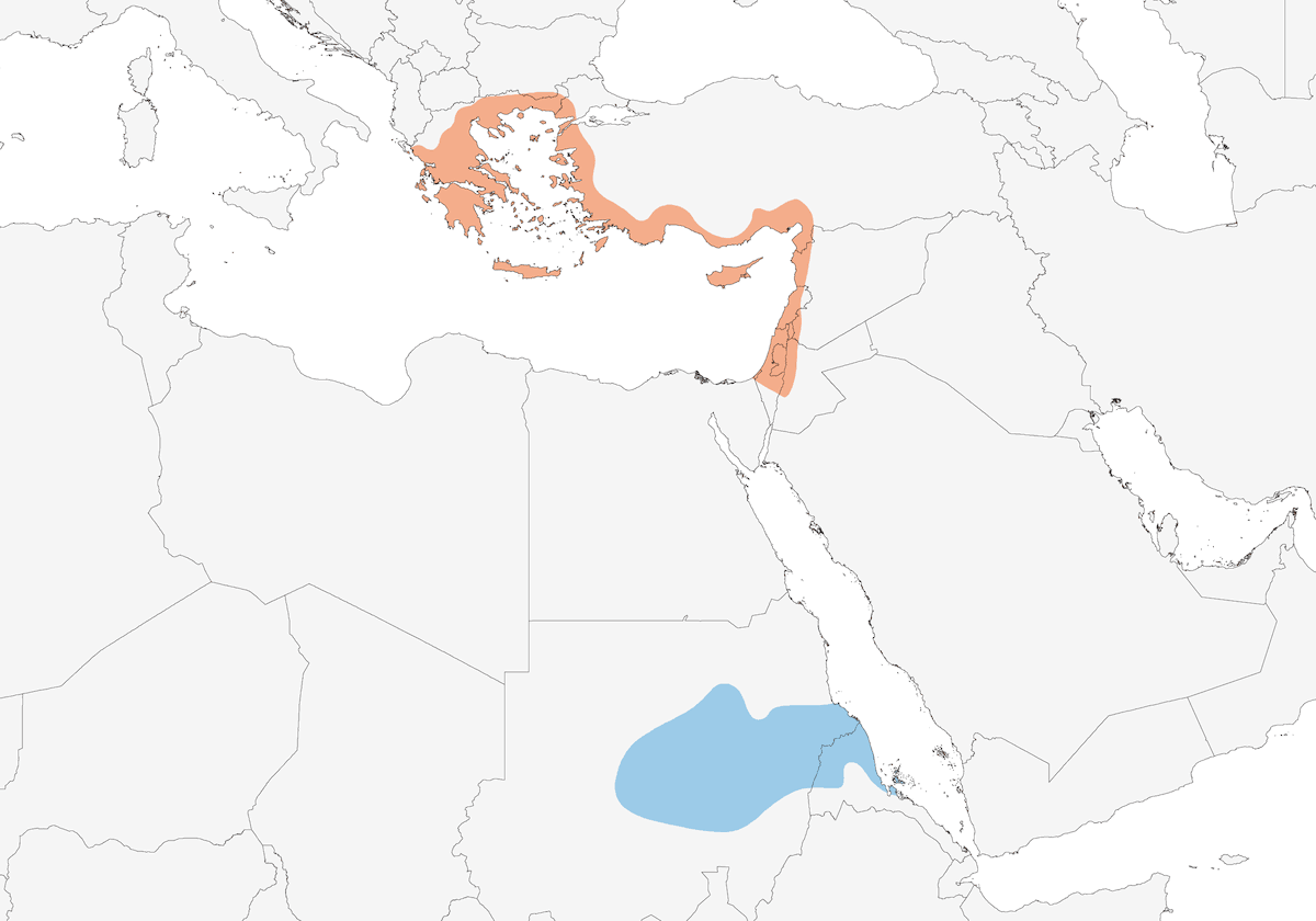 Zigolo di Cretzschmar, Distribuzione 1