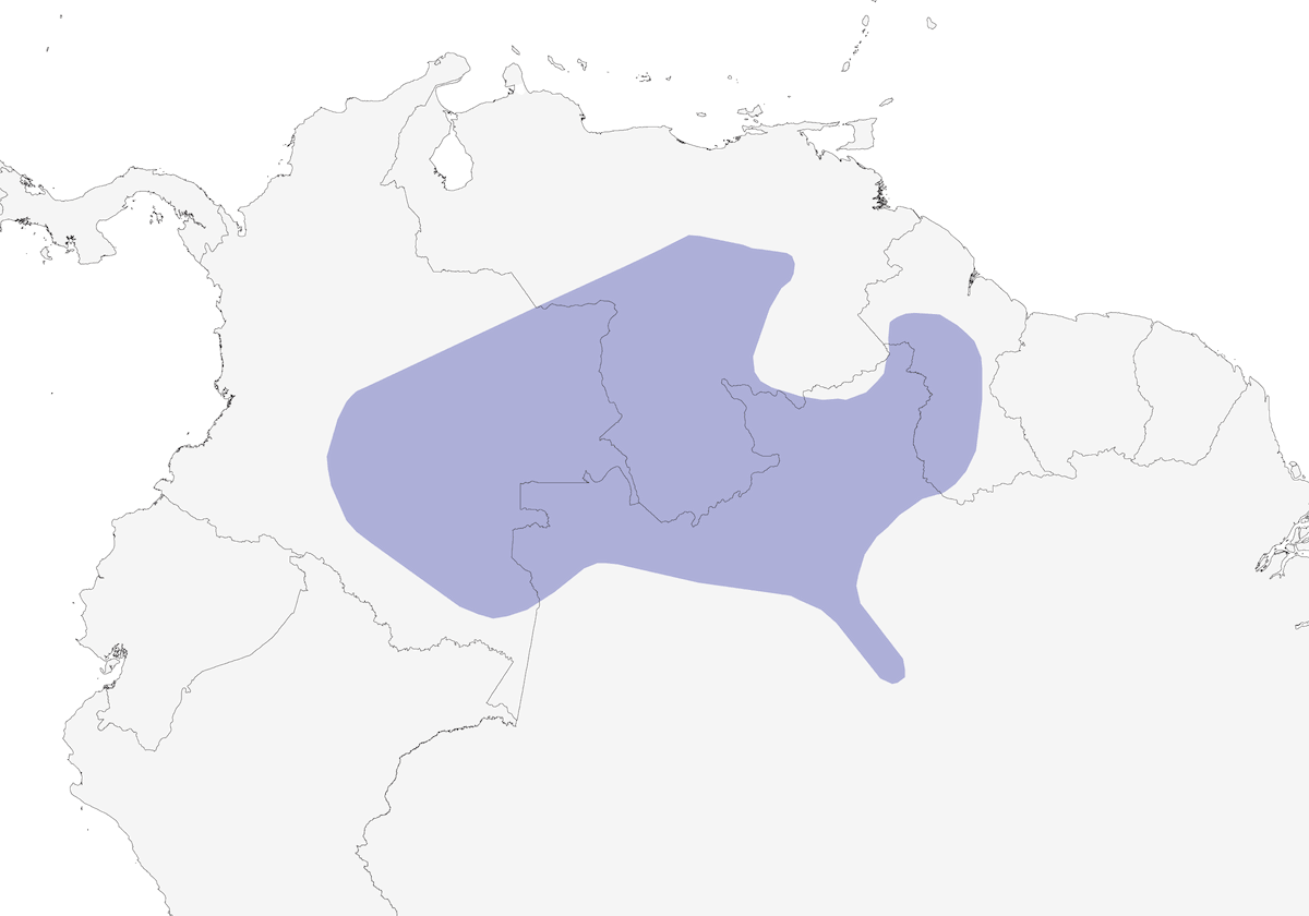 Crestless Curassow, Distribution 1