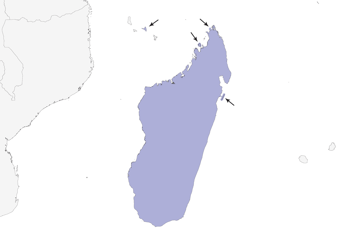 Drongo crestato, Distribuzione 1