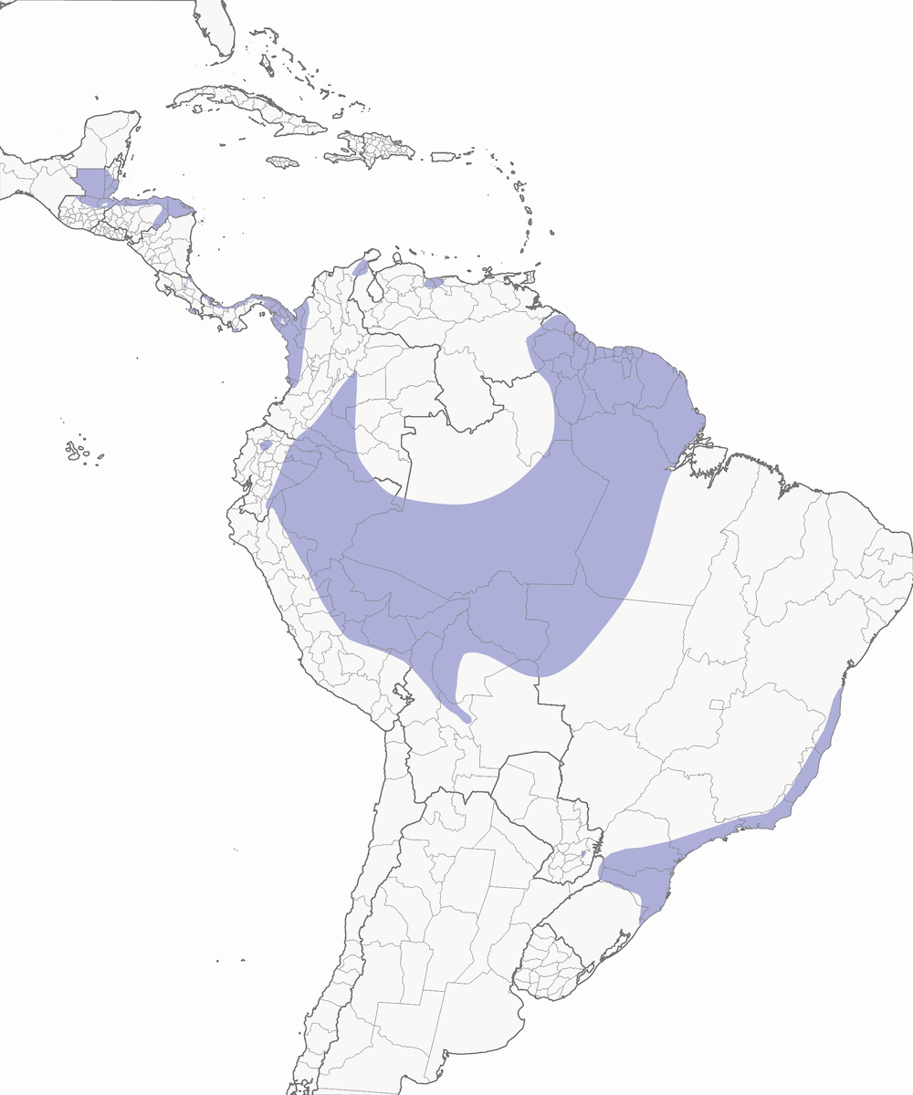 Aquila crestata, Distribuzione 1