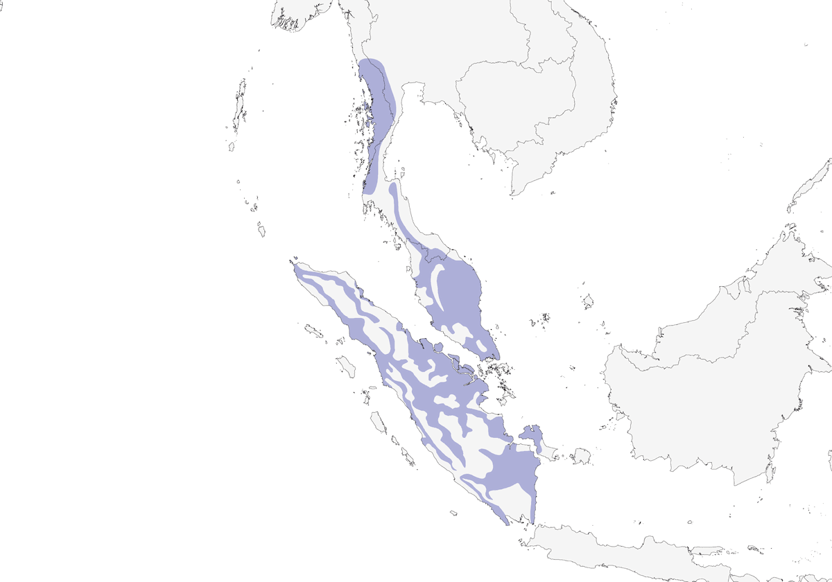 Malayan Crested Fireback, Distribution 1