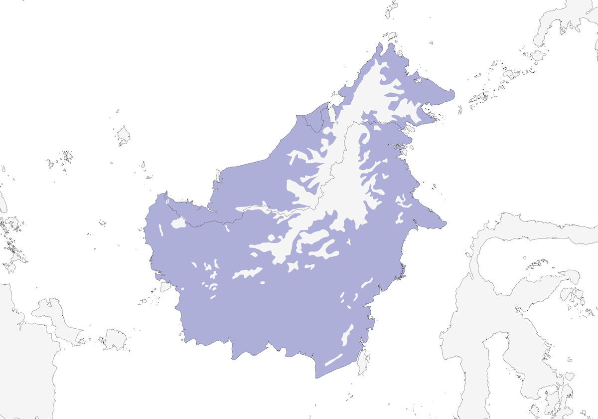 Borneo-Feuerrückenfasan, Verbreitung 1
