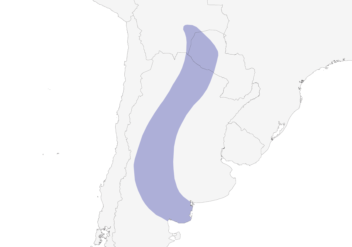 Crested Gallito, Distribution 1
