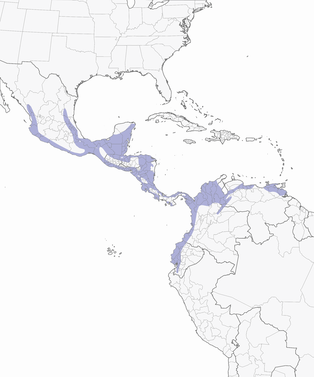 Guan crestato, Distribuzione 1