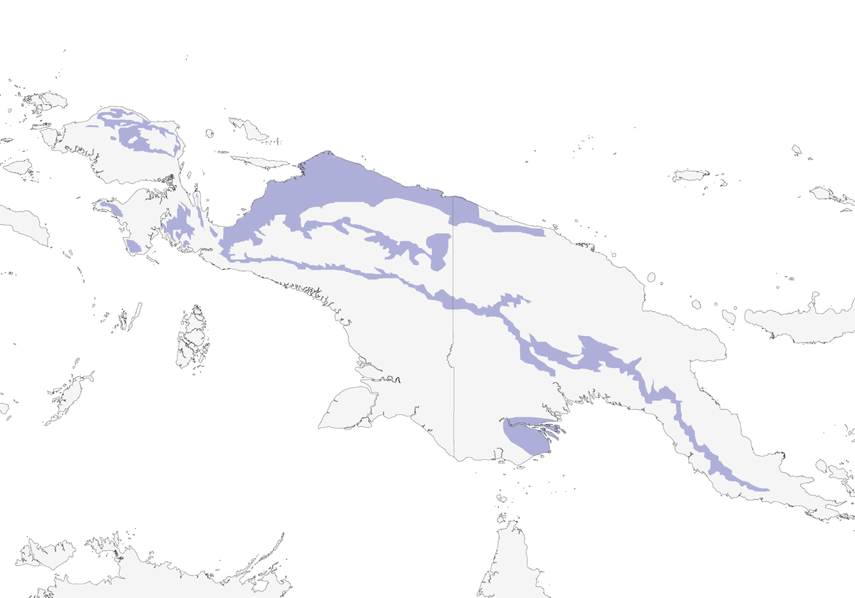 Piping Bellbird, 分布 1