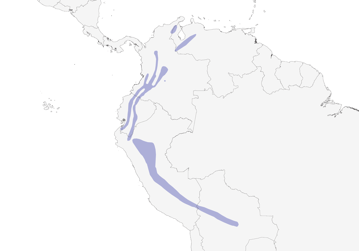 Quetzal antisien, Distribution 1