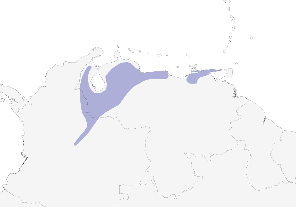 Crested Spinetail, Distribution 1