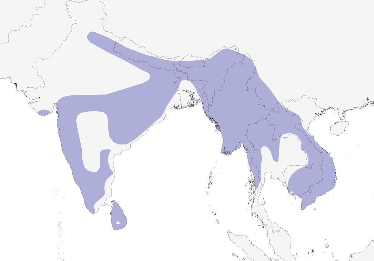Crested Treeswift, Distribution 1