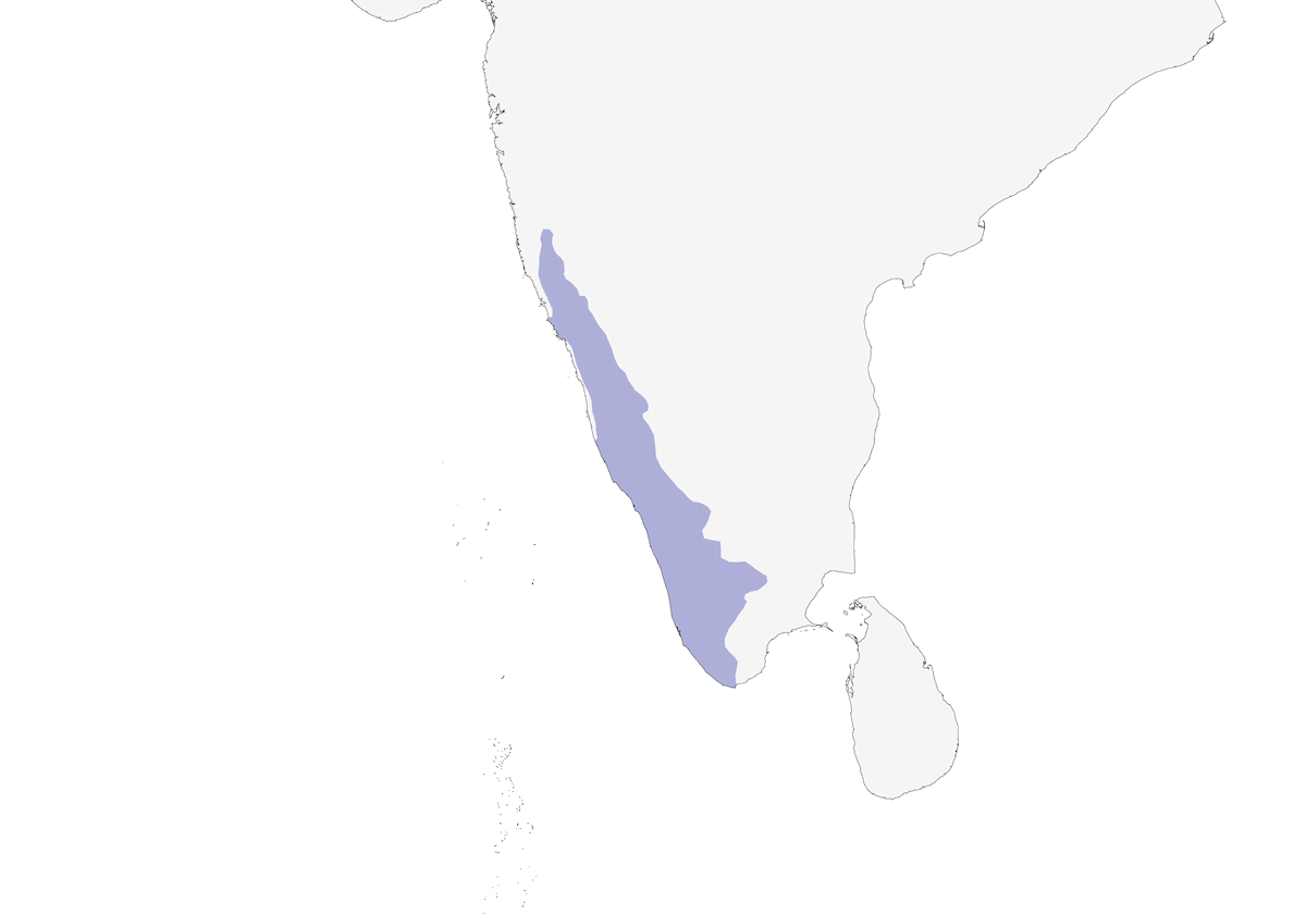 Malabar Barbet, 分布 1