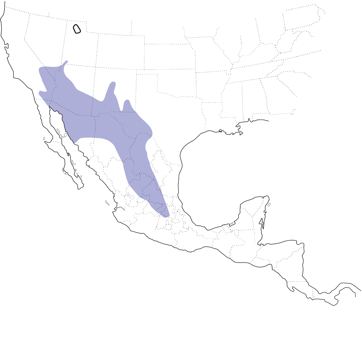 Mimo tordo del Crissale, Distribuzione 1