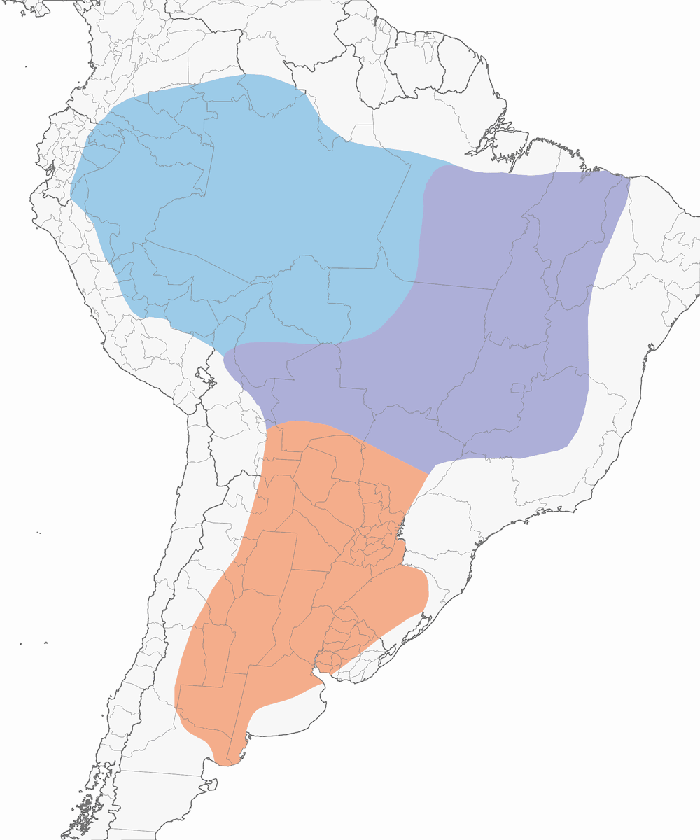 Mosquero Pizarroso Coronado, Distribución 1
