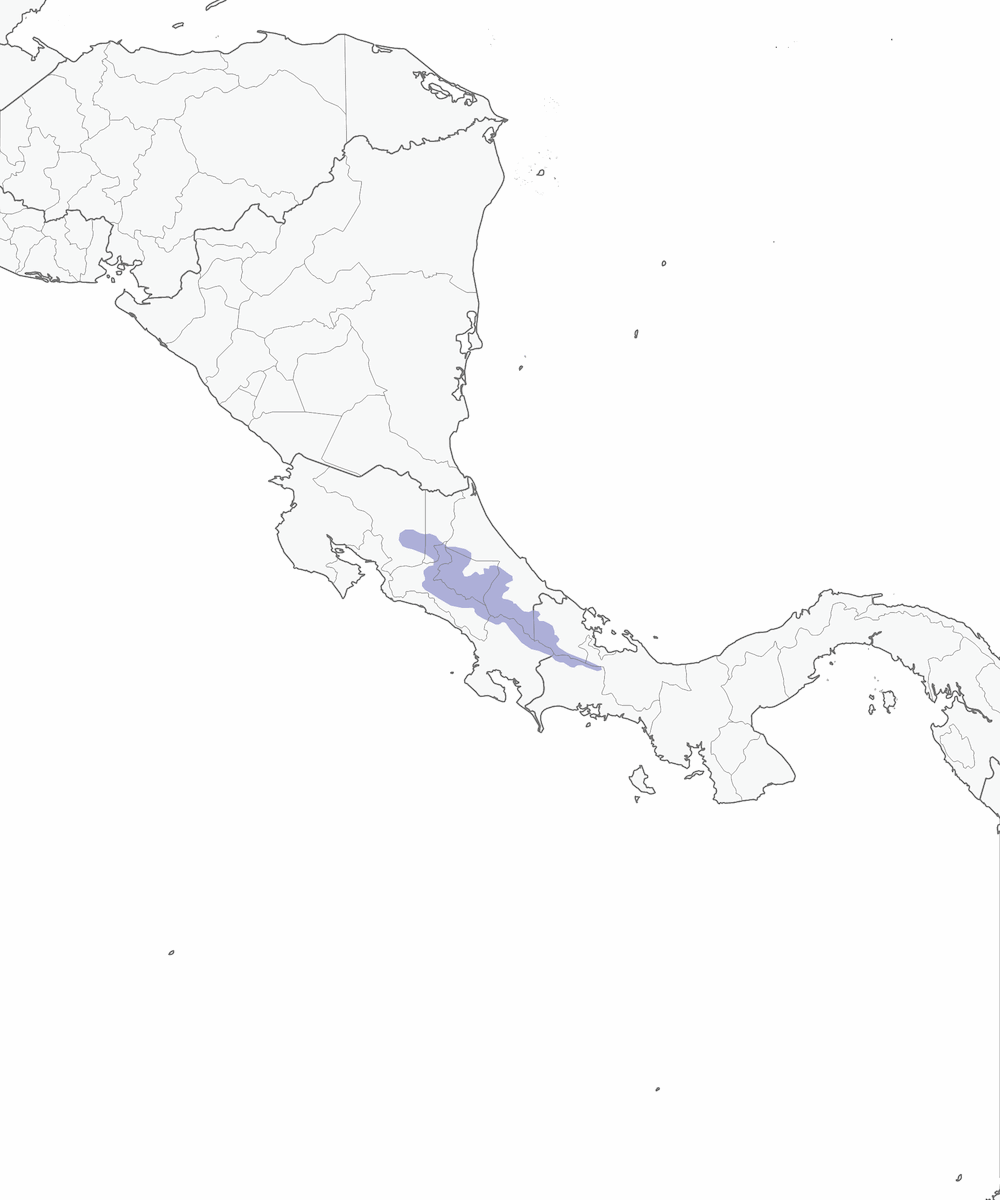 Costa-Rica-Sperlingskauz, Verbreitung 1