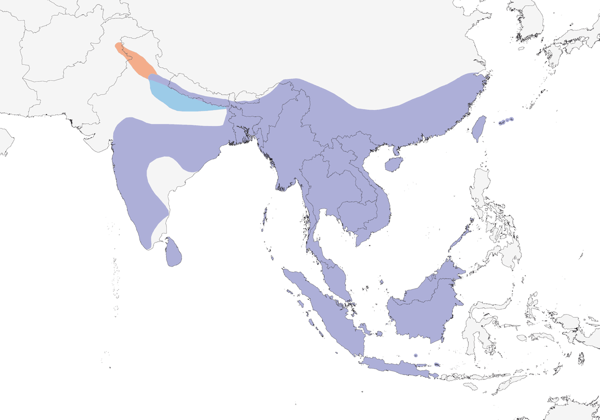 Crested Serpent-Eagle, Distribution 1