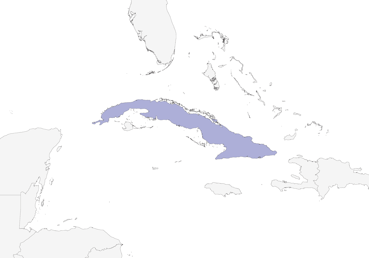 Cuban Blackbird, Distribution 1