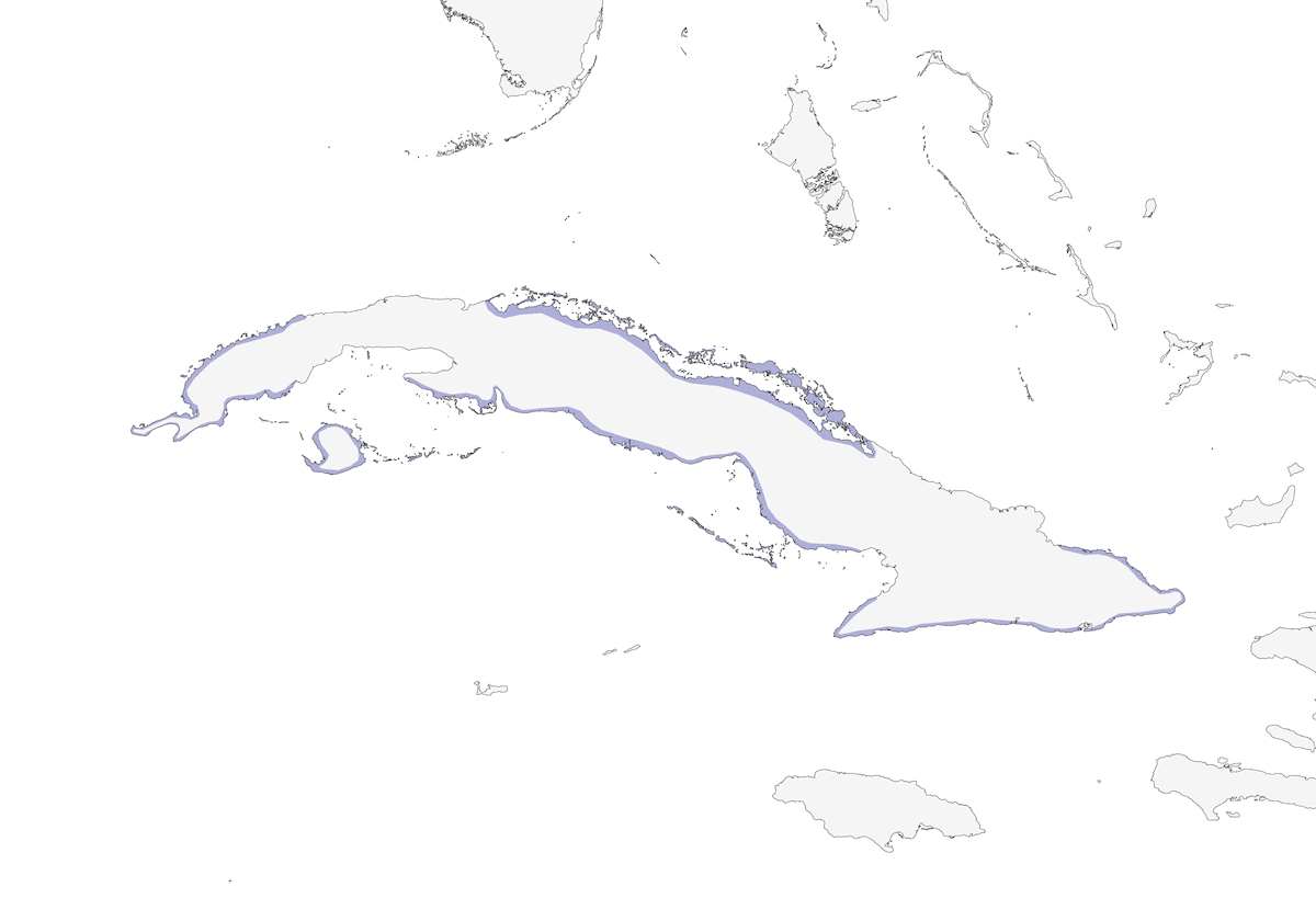 Gavilán Negro Cubano, Distribución 1